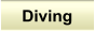 Diving